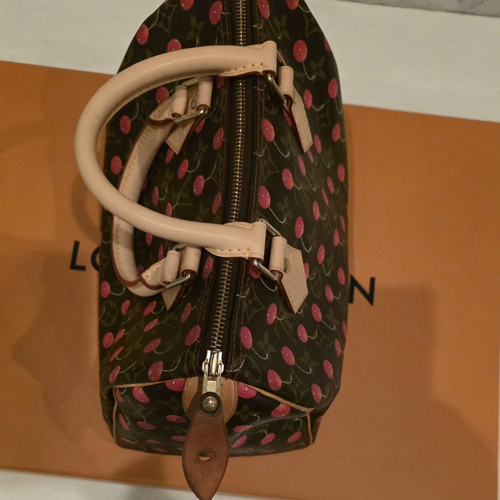 Louis Vuitton Takashi Murakami Cherry🍒🍒🍒 Speedy25 - Picture 5 of 15